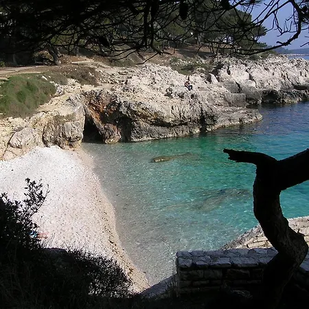 Apartament Sandra *
